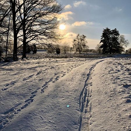 Ferienwohnung Heide View Bispingen Kültér fotó
