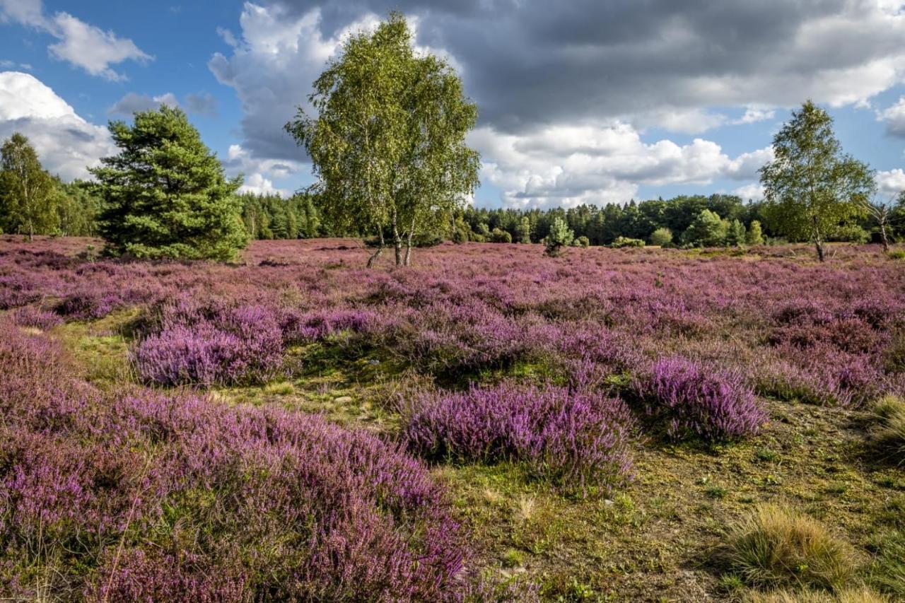 Ferienwohnung Heide View Bispingen Kültér fotó