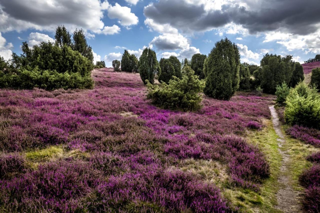 Ferienwohnung Heide View Bispingen Kültér fotó