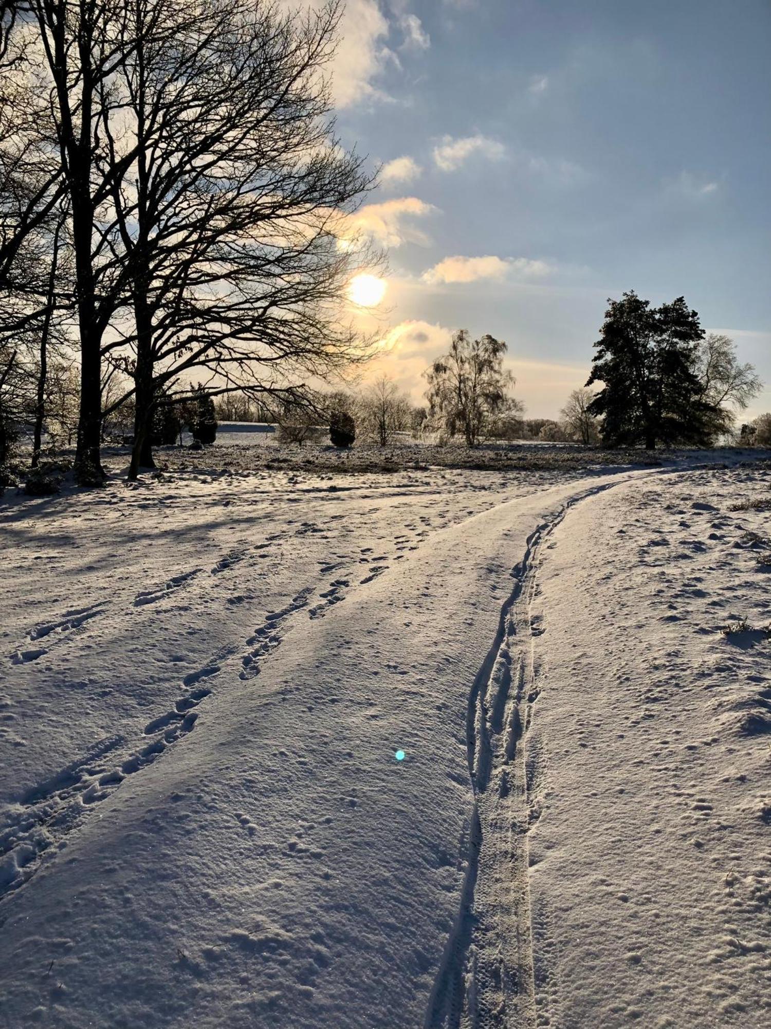 Ferienwohnung Heide View Bispingen Kültér fotó