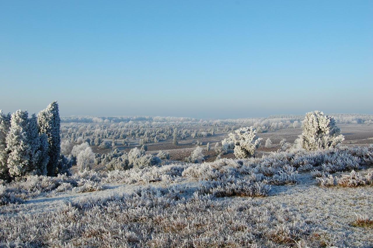 Ferienwohnung Heide View Bispingen Kültér fotó