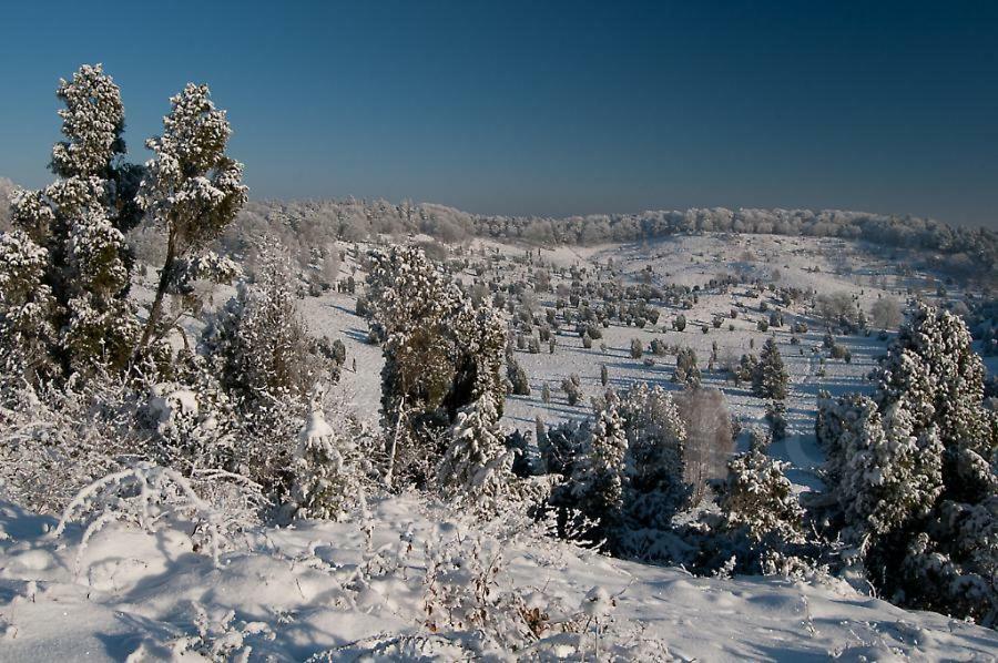 Ferienwohnung Heide View Bispingen Kültér fotó