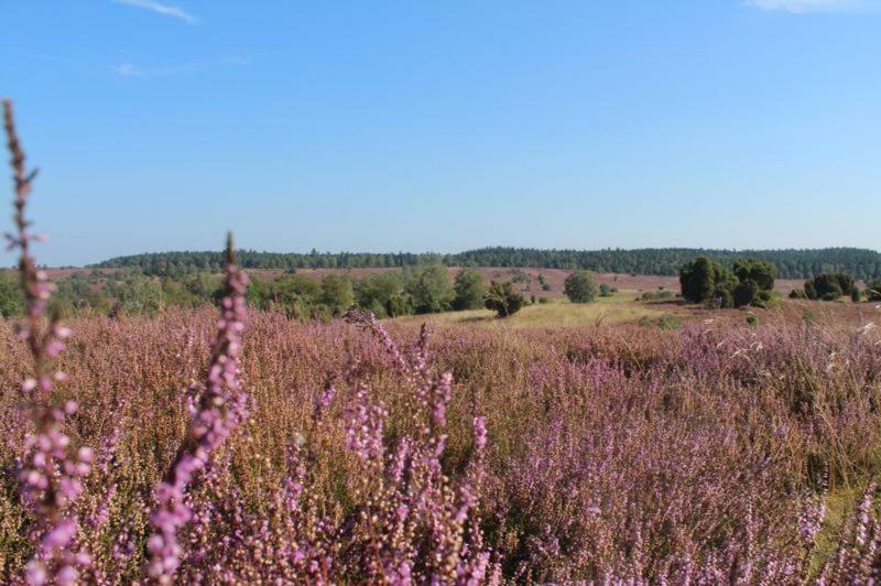 Ferienwohnung Heide View Bispingen Kültér fotó